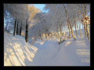 thumb_1102108.jpg