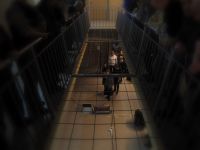 Czerwony_Bor_2012